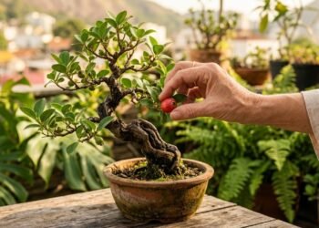 A técnica japonesa surpreendente que permite colher frutas em árvores minúsculas dentro de casa