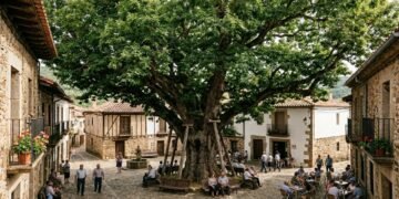A maior árvore da Espanha tem 400 anos e consegue cobrir uma vila inteira