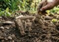 “Ele Só Estava Brincando no Jardim… e Acabou Desenterrando um Segredo Romano de 1.700 Anos que Está Deixando os Arqueólogos Sem Resposta”