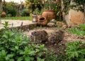 Essas plantas liberam aromas que incomodam ratos e podem virar uma barreira no jardim