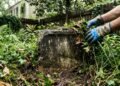 Um casal que limpava o quintal descobriu uma lápide romana de 2.000 anos desaparecida desde a Segunda Guerra Mundial