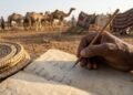 A língua que possui 45 termos diferentes para camelos