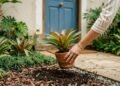 Plantas perfeitas para valorizar a entrada da casa com elegância e sofisticação