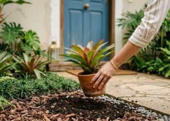 Plantas perfeitas para valorizar a entrada da casa com elegância e sofisticação