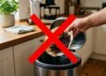 Não jogue fora a borra de café: estes truques simples ajudam no jardim e na casa