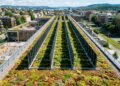 A Escola Løren instala o primeiro telhado verde de Oslo com painéis solares fotovoltaicos verticais