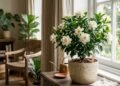 A árvore mais aromática do mundo que transforma qualquer casa em um jardim perfumado