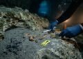 Cientistas encontraram restos humanos de 13.000 anos que podem mudar a história da América