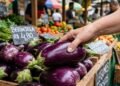Antes de comprar berinjela na feira, veja estes sinais que revelam se ela está no ponto certo
