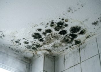 Como remover mofo do forro usando ingredientes que você já tem em casa