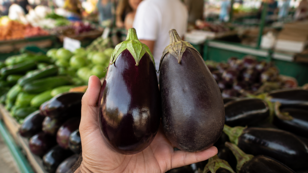 Os frutos jovens apresentam polpa firme, menor amargor e pedúnculos verdes carnudos de colheita recente.
