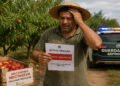 Produtor rural foi preso e multado em mais de 1,8 milhão após plantar e vender uma fruta “proibida”