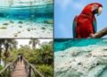O paraíso brasileiro que esconde rios de águas azuis e shows de araras