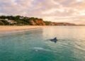 Eleita a 3ª melhor praia da América do Sul: o vilarejo a 85 km da capital onde golfinhos nadam a metros da areia