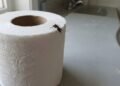 O rolo de papel ganhou uma nova função dentro de casa