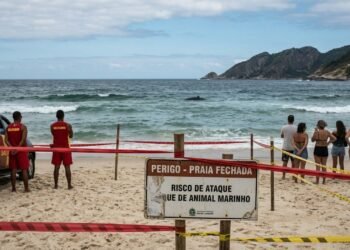 Tubarão-branco fecha praias em Sydney e acende alerta