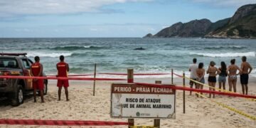 Tubarão-branco fecha praias em Sydney e acende alerta