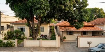 Código Civil define regras para árvores na divisa e prevê multas acima de R$ 5 mil