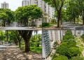 Com mais de 1 milhão de árvores, essa cidade no Brasil conquista o posto de mais arborizada do planeta