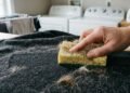 O que colocar na máquina de lavar para remover pelos de cachorro das roupas? Veja truques simples e eficazes que ajudam a soltar e eliminar os pelos durante a lavagem, deixando as peças mais limpas, macias e livres de resíduos de forma prática no dia a dia