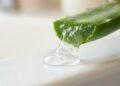 Aloe vera (babosa) no cabelo funciona mesmo? O jeito certo de usar o gel para hidratar e reduzir quebra