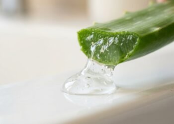 Aloe vera (babosa) no cabelo funciona mesmo? O jeito certo de usar o gel para hidratar e reduzir quebra