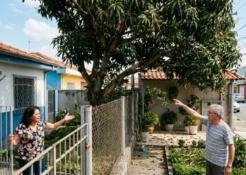 Está em vigor, donos de imóveis com árvores ou cercas vivas a menos de alguns metros do vizinho deverão realizar a poda, sob risco de multa
