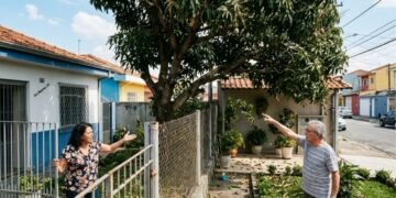 Está em vigor, donos de imóveis com árvores ou cercas vivas a menos de alguns metros do vizinho deverão realizar a poda, sob risco de multa