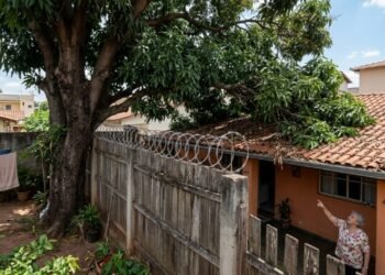 Já está em vigor, donos de imóveis com árvores ou cercas-vivas a menos de 2 metros do vizinho deverão realizar a poda, sob risco de multa