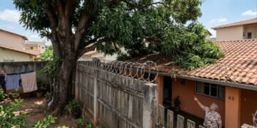 Já está em vigor, donos de imóveis com árvores ou cercas-vivas a menos de 2 metros do vizinho deverão realizar a poda, sob risco de multa