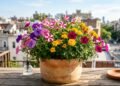 5 flores baratinhas para deixar a varanda mais bonita sem gastar muito