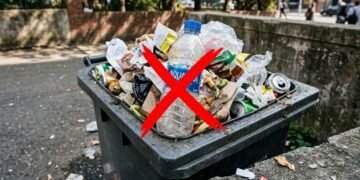 Não jogue fora as garrafas PET vazias: veja como transformá-las em uma linda horta suspensa para cultivar cebolinha e outros temperos dentro do apartamento