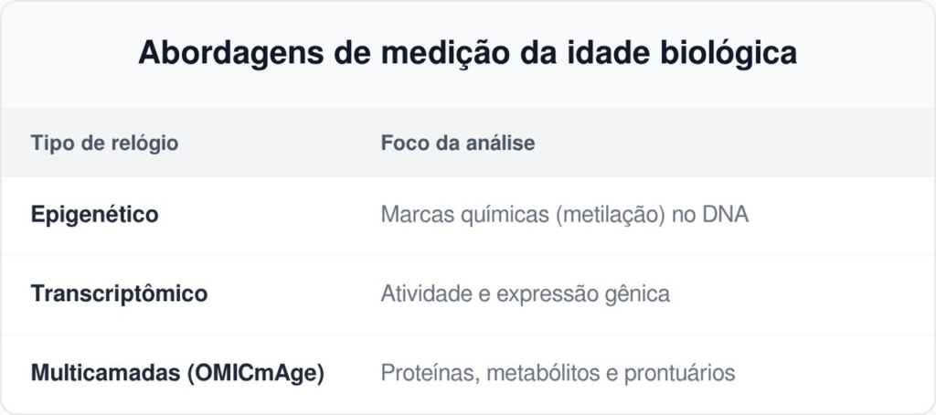 envelhecimento humano