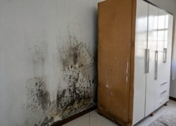 Adeus mofo no guarda-roupa: como a cola branca pode ajudar a proteger a madeira da umidade