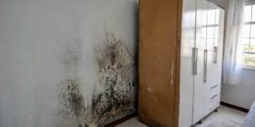 Adeus mofo no guarda-roupa: como a cola branca pode ajudar a proteger a madeira da umidade