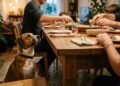 Por que os cachorros se sentam ao seu lado à mesa quando você come? Não é por causa da fome