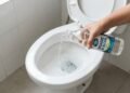 Para que serve jogar vinagre no vaso sanitário uma vez por semana