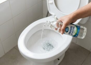 Para que serve jogar vinagre no vaso sanitário uma vez por semana
