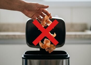Pare de jogar casca de cebola no lixo: um preparo simples pode transformar o que seria descartado em um aliado do jardim