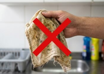 Especialista em limpeza explica por que panos de prato muito sujos não devem ir direto para a máquina de lavar