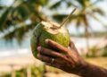 O que acontece se você tomar água de coco todo dia