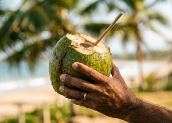 O que acontece se você tomar água de coco todo dia
