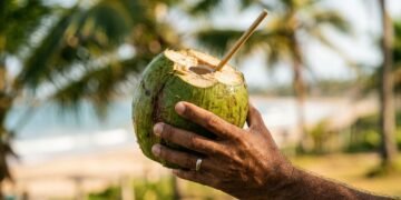 O que acontece se você tomar água de coco todo dia