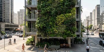Pesquisadores japoneses demonstram que paredes verdes podem reduzir a temperatura interna em até 1,7°C durante ondas de calor