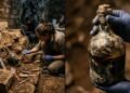 Arqueólogos encontram em tumba romana selada o vinho líquido mais antigo do mundo, preservado por cerca de 2 mil anos ao lado de restos humanos
