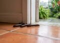 Nem veneno forte, nem desespero: 6 maneiras de afastar piolhos-de-cobra que aparecem durante as chuvas