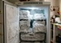 Freezer cheio de gelo pode fazer o aparelho trabalhar mais e pesar na luz
