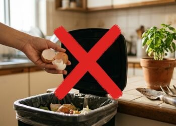 Pare de jogar casca de ovo no lixo! Saiba como usar elas para proteger as mudas frágeis do seu jardim