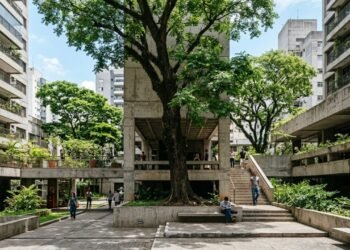 As árvores não são apenas decorativas, cientistas defendem que sua instalação seja obrigatória na infraestrutura urbana