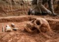 A mulher pré histórica encontrada em Minas Gerais que virou símbolo da ciência brasileira e dos mistérios sobre nossas origens